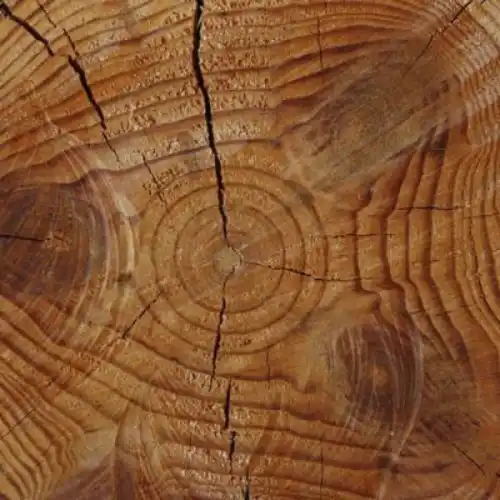 Cashmere wood