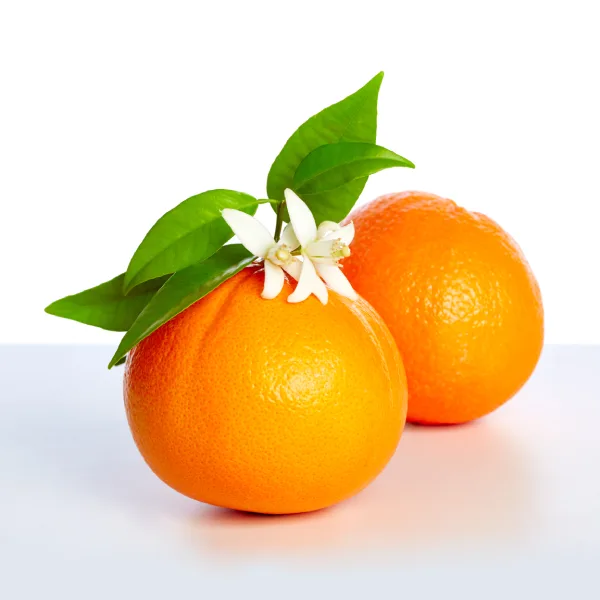 Mandarin Blossom