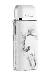 Link to perfume:  Caballo Pour Homme