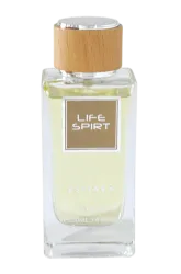Link to perfume:  Estiara Life Spirit