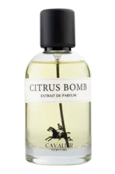 Link to perfume:  Citrus Bomb