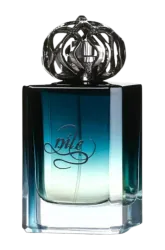 Link to perfume:  Nile
